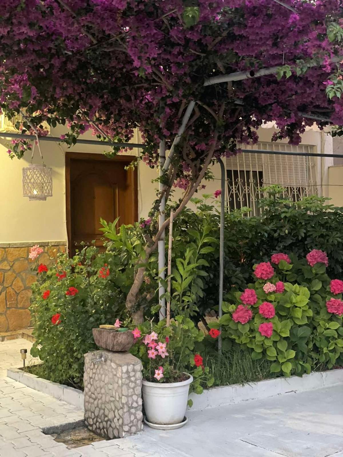 Apartments Athina Orikum Eksteriør billede